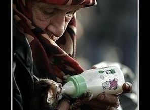 getImage (10)