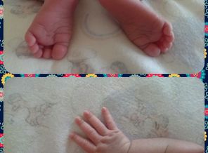 img1408516585979