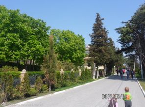 SAM_8370