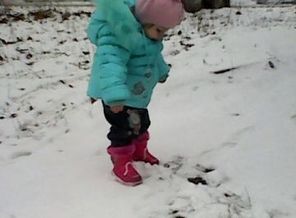 Чьи это следы петляют Около лесных дорог? Это по лесу гуляют НОСОБРАЗ и ДИКОРОГ!