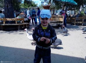 IMG_20130615_131920