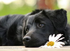 наша Бонечка)