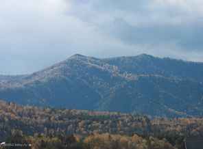 IMG_5646