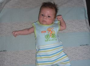 SAM_0803