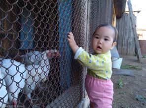 IMAG0948