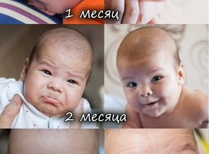 Наш заиничкин