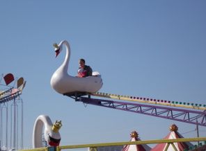 DSCN3193
