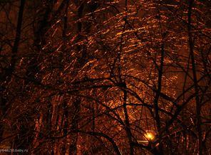 DSC_0101 (22)