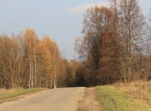 IMG_6717