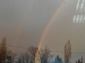 24.12.2014  в    16:05