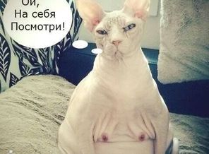 VfgwQe5SG2g