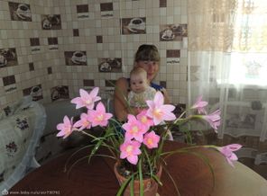 DSCN5577