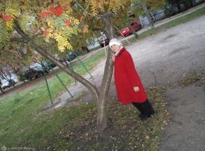 За две недельки до родов