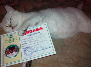 Будущая мама....
