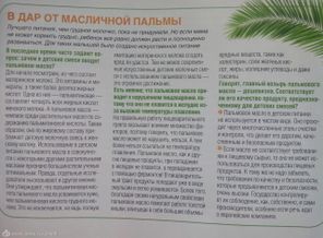 О пальмовом масле