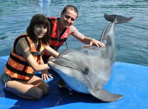 Во время свадебного путешествия...