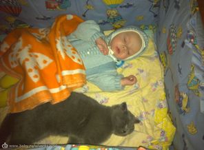 image (1)