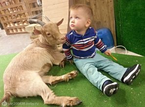 Козочка и Федюша