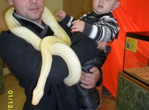 SAM_3147