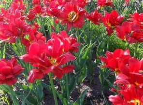 IMG_20140705_234626