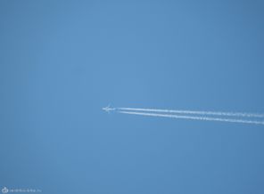 DSCN1263