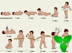 atikls9