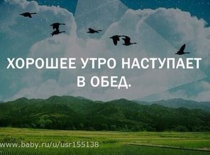 3-l2QNiBTiQ