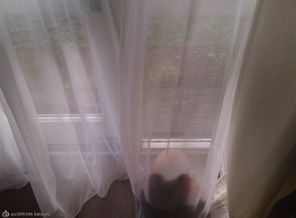 IMG_20140205_093552