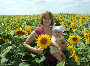 В подсолнухах