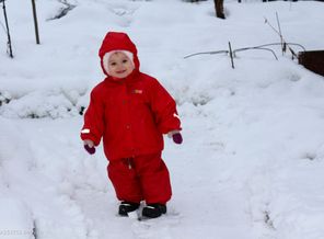 IMG_0573