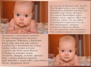 Без имени-2