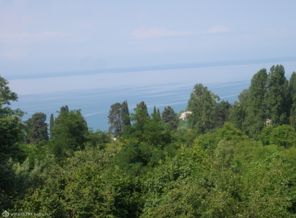 P7092523