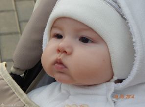 DSCN0955