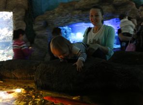 Вы как хотите, а я пошла к рыбкам!