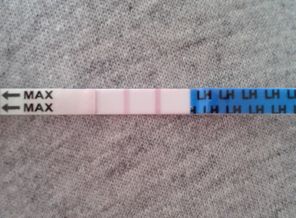 2014-09-15 13.52.34