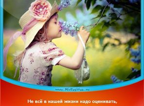 0_113782_9d62d38c_XL