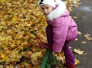 20141011_124556