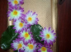 В подарок сестре