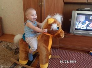SAM_3914