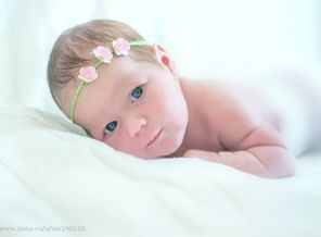 голубоглазая красоточка