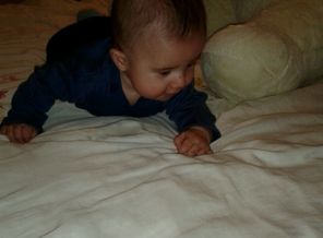 IMG-20140921-WA0006