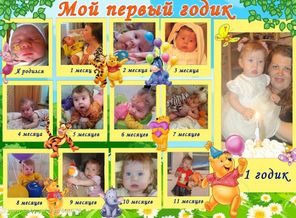 12 месяцев