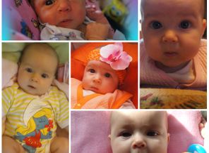 collage1