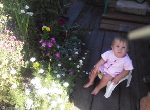 IMG_20140820_123818