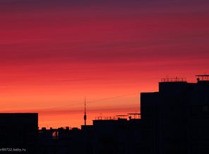 IMG_8984