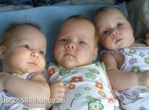 И этих лапочек мне подарила беременяшка