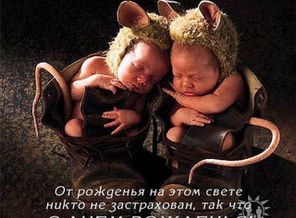 918fc9581434884966299e63605a917b2eafba145490253