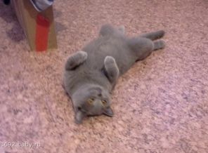 мой антистресс