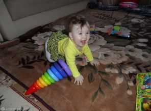 SAM_4489