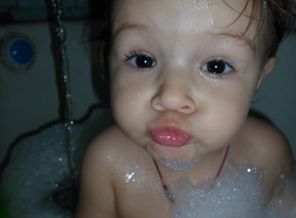 SAM_2565